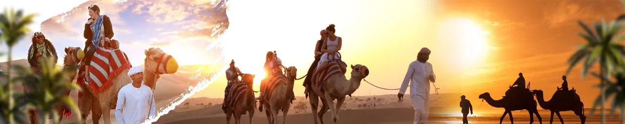 Sunset Camel Trekking Experience The Culture & History