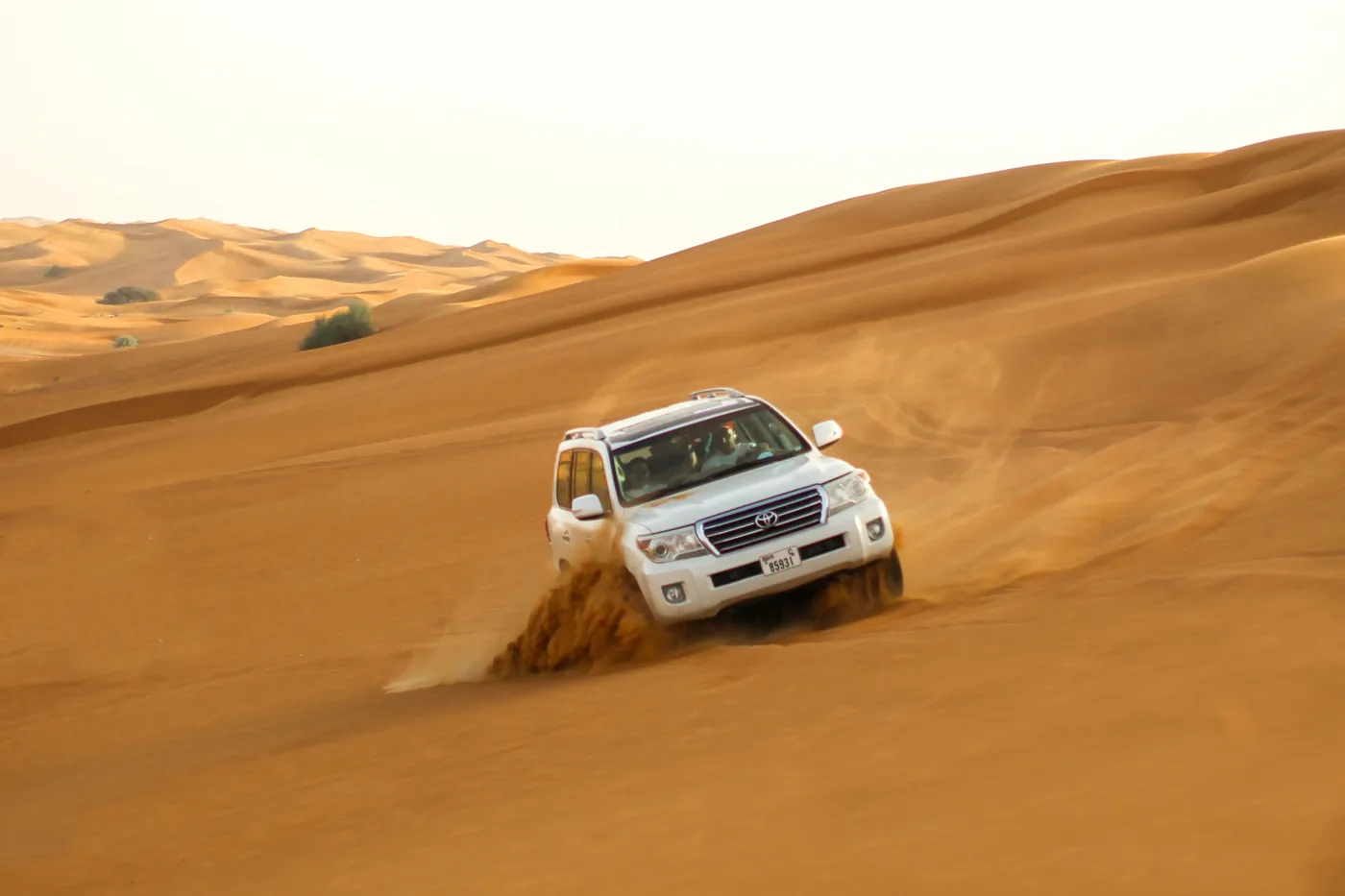 Morning Desert Safari & Dune Bashing In Dubai