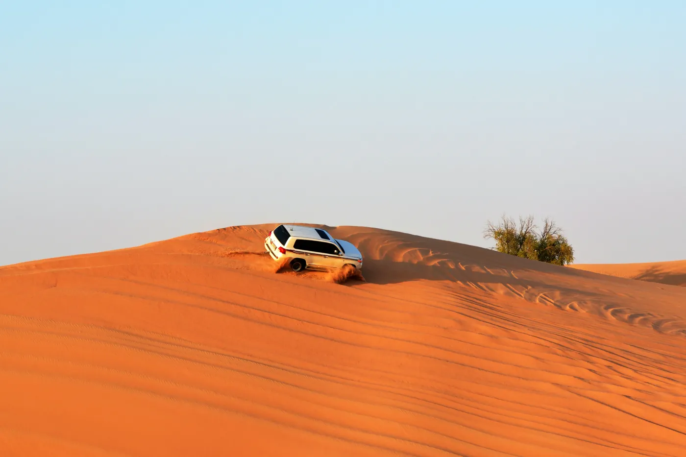 Evening Red Dune Safari and Quad Bike self drive