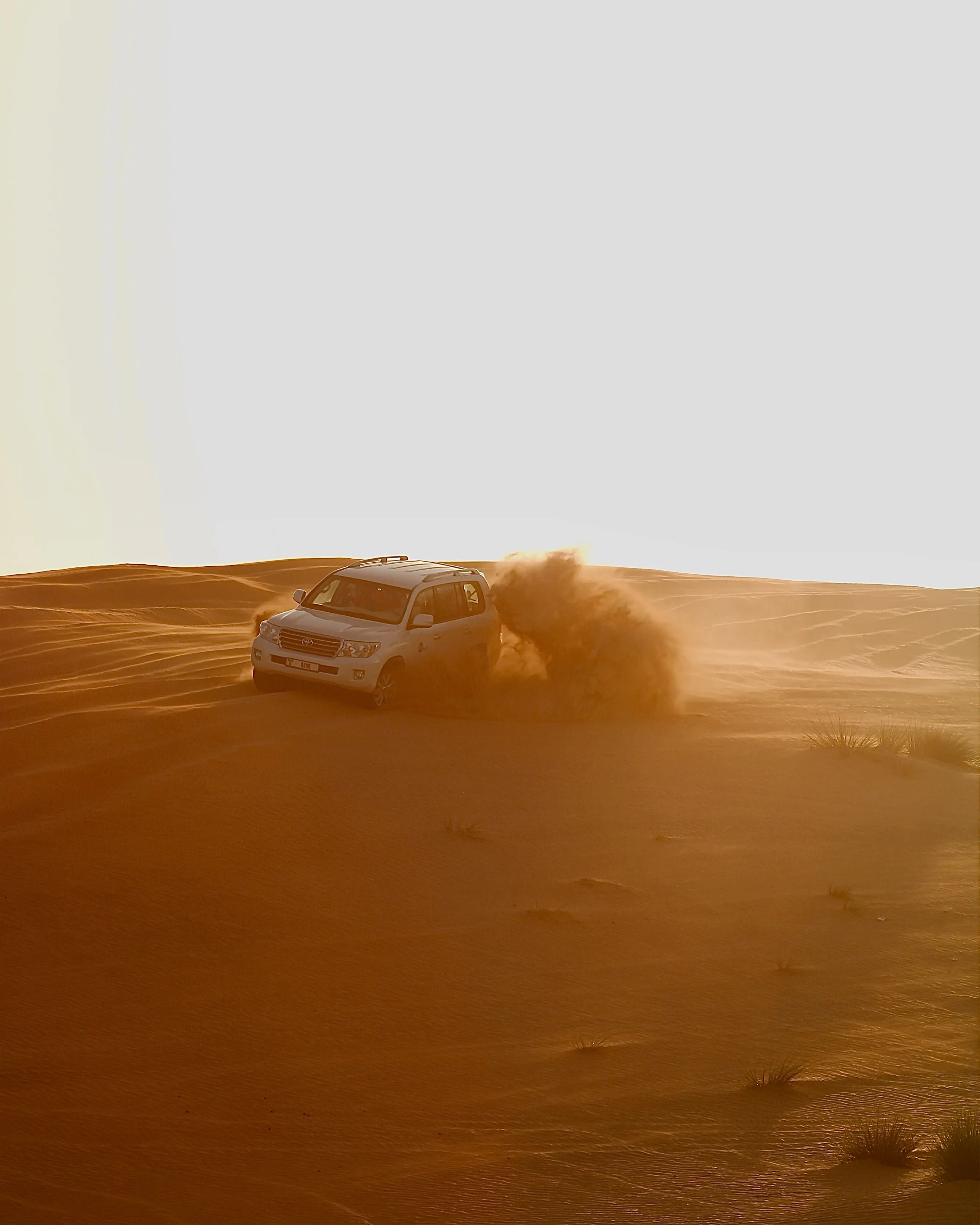 Morning Desert Safari and self Quad Bike drive
